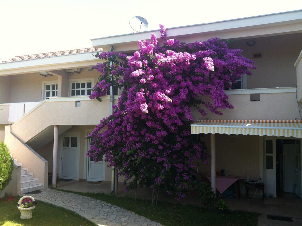 Apartments Ada Bojana Ulcinj Quarto foto